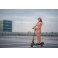 Hulajnoga elektryczna Ninebot by Segway KickScooter F25E