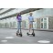 Hulajnoga elektryczna Ninebot by Segway KickScooter F30E