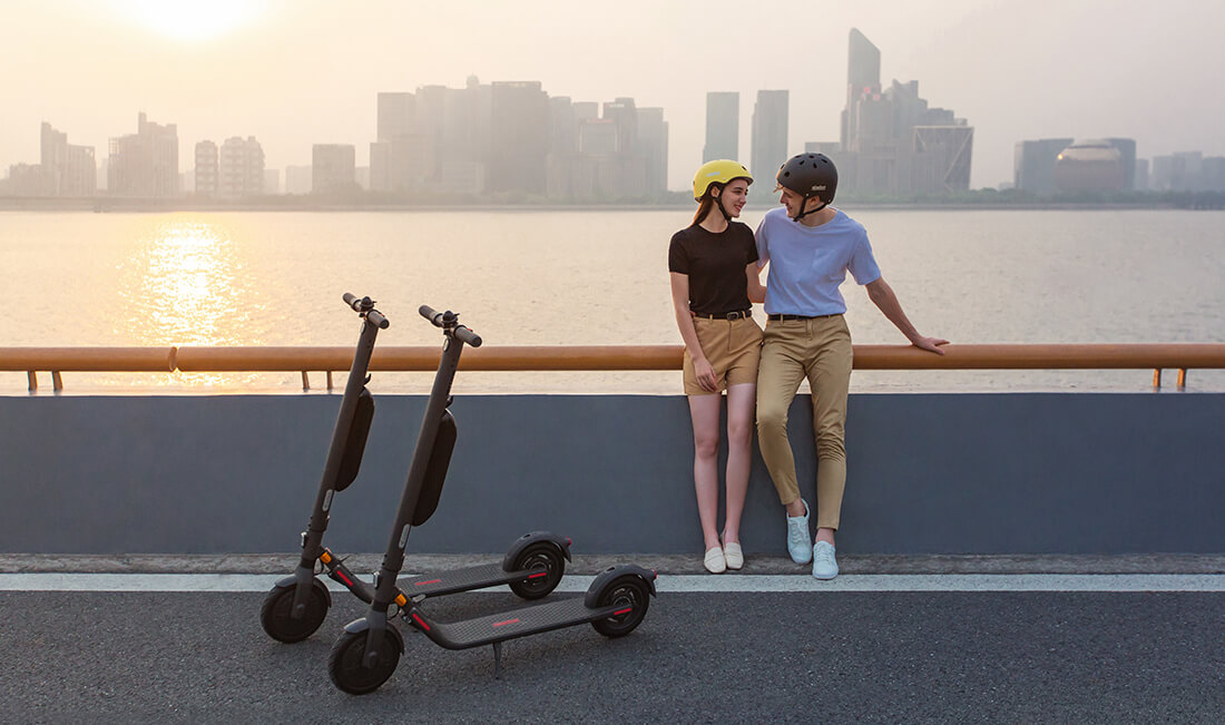 Bateria Segway KickScooter