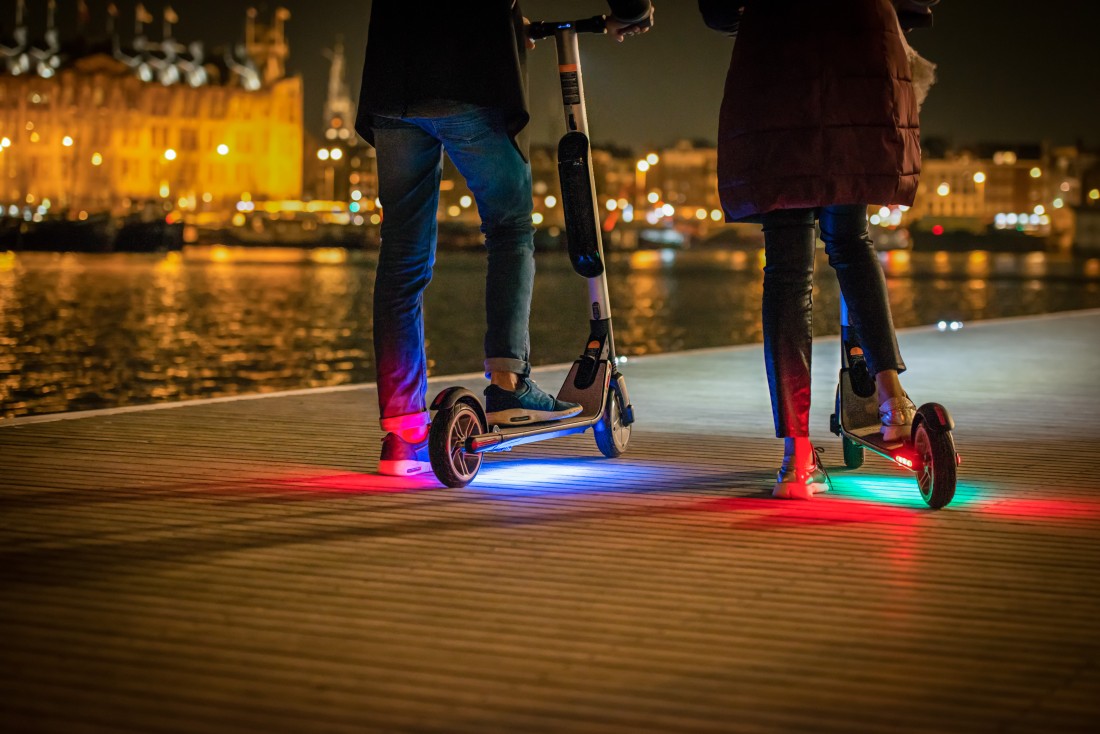 Bateria Segway KickScooter